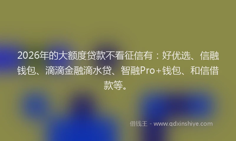 2026年的大额度贷款不看征信有：好优选、信融钱包、滴滴金融滴水贷、智融Pro+钱包、和信借款等。