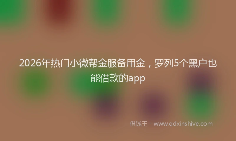 2026年热门小微帮金服备用金，罗列5个黑户也能借款的app