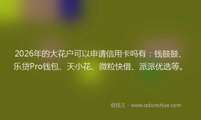 2026年的大花户可以申请信用卡吗有：钱鼓鼓、乐贷Pro钱包、天小花、微粒快借、派派优选等。