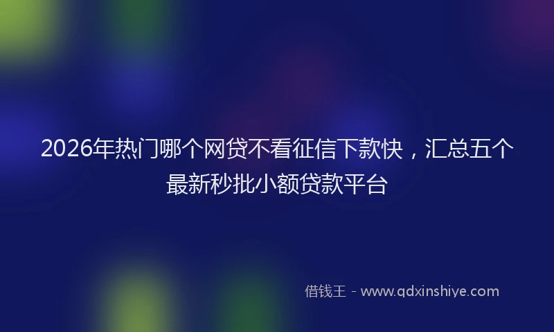 2026年热门哪个网贷不看征信下款快，汇总五个最新秒批小额贷款平台