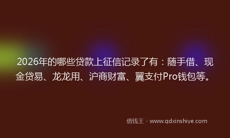 2026年的哪些贷款上征信记录了有：随手借、现金贷易、龙龙用、沪商财富、翼支付Pro钱包等。