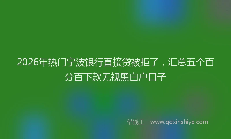 2026年热门宁波银行直接贷被拒了，汇总五个百分百下款无视黑白户口子