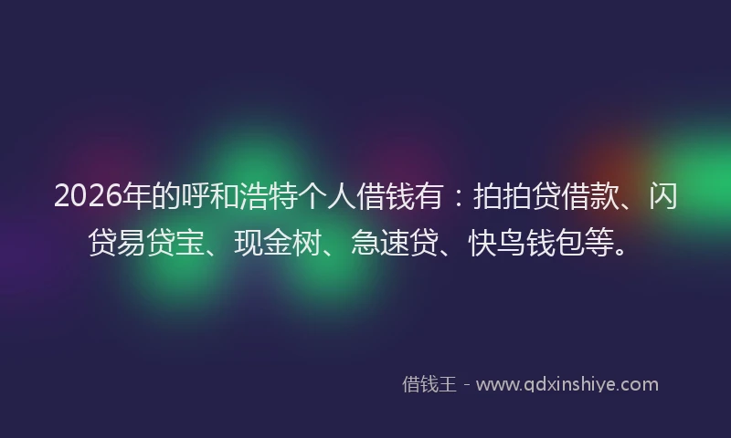 2026年的呼和浩特个人借钱有：拍拍贷借款、闪贷易贷宝、现金树、急速贷、快鸟钱包等。