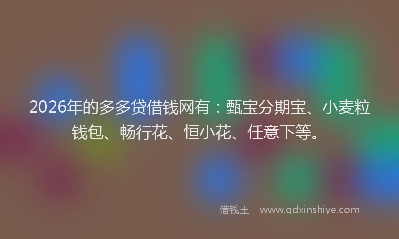 2026年的多多贷借钱网有：甄宝分期宝、小麦粒钱包、畅行花、恒小花、任意下等。