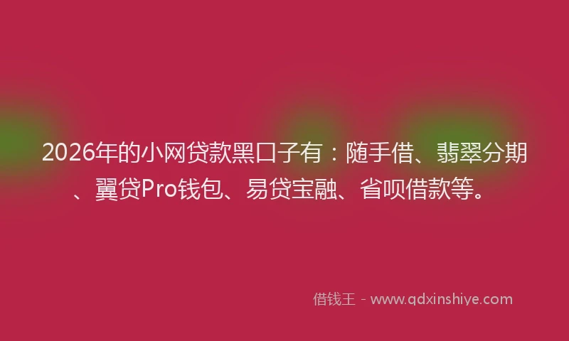 2026年的小网贷款黑口子有:随手借、翡翠分期、翼贷Pro钱包、易贷宝融、省呗借款等。