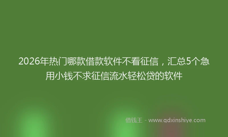 2026年热门哪款借款软件不看征信，汇总5个急用小钱不求征信流水轻松贷的软件
