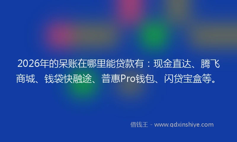 2026年的呆账在哪里能贷款有：现金直达、腾飞商城、钱袋快融途、普惠Pro钱包、闪贷宝盒等。