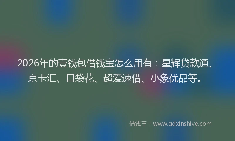 2026年的壹钱包借钱宝怎么用有：星辉贷款通、京卡汇、口袋花、超爱速借、小象优品等。