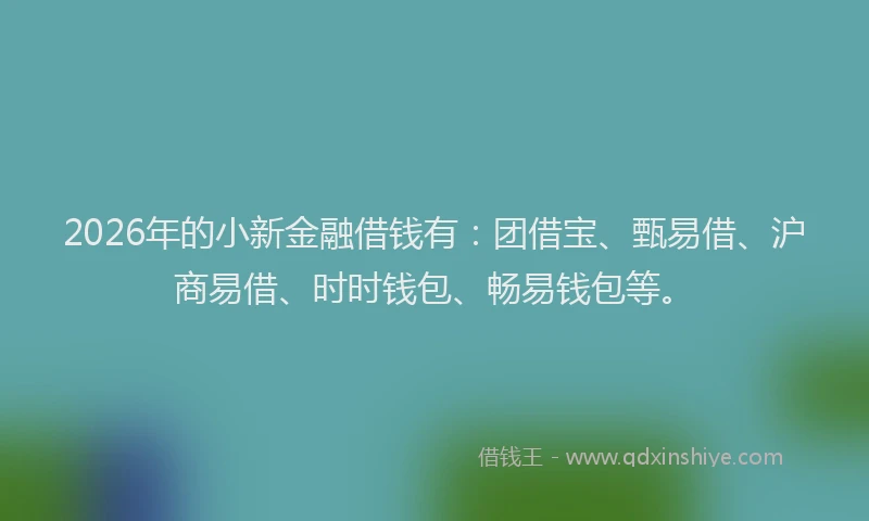 2026年的小新金融借钱有：团借宝、甄易借、沪商易借、时时钱包、畅易钱包等。