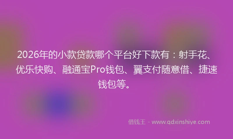 2026年的小款贷款哪个平台好下款有：射手花、优乐快购、融通宝Pro钱包、翼支付随意借、捷速钱包等。