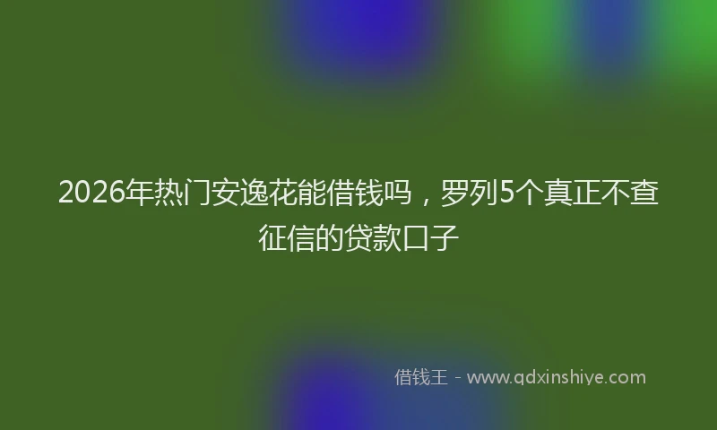 2026年热门安逸花能借钱吗，罗列5个真正不查征信的贷款口子
