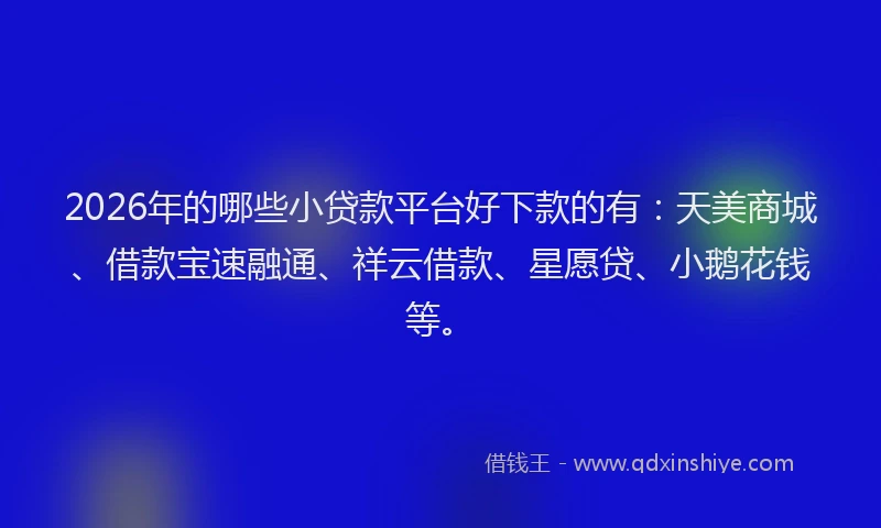 2026年的哪些小贷款平台好下款的有：天美商城、借款宝速融通、祥云借款、星愿贷、小鹅花钱等。