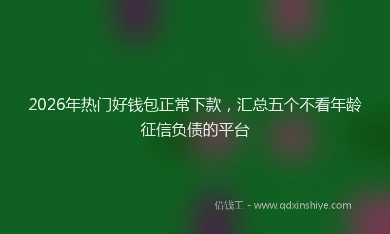 2026年热门好钱包正常下款，汇总五个不看年龄征信负债的平台