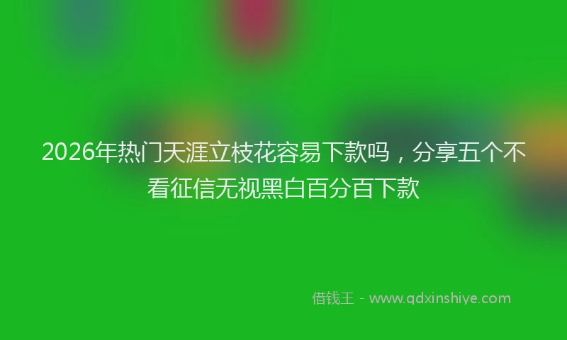 2026年热门天涯立枝花容易下款吗，分享五个不看征信无视黑白百分百下款