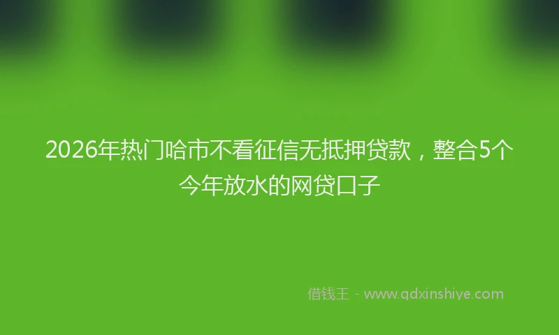 2026年热门哈市不看征信无抵押贷款，整合5个今年放水的网贷口子