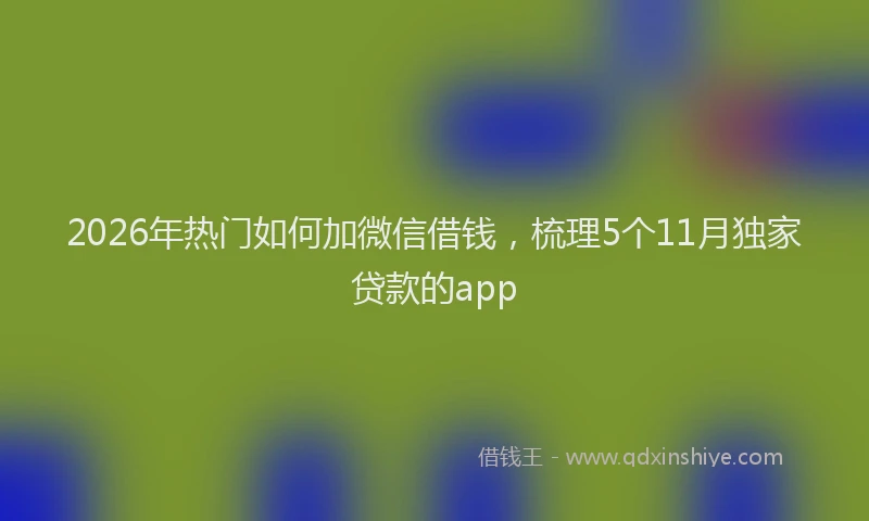 2026年热门如何加微信借钱，梳理5个11月独家贷款的app