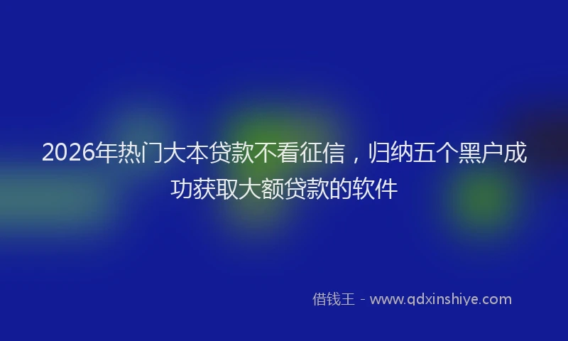 2026年热门大本贷款不看征信，归纳五个黑户成功获取大额贷款的软件