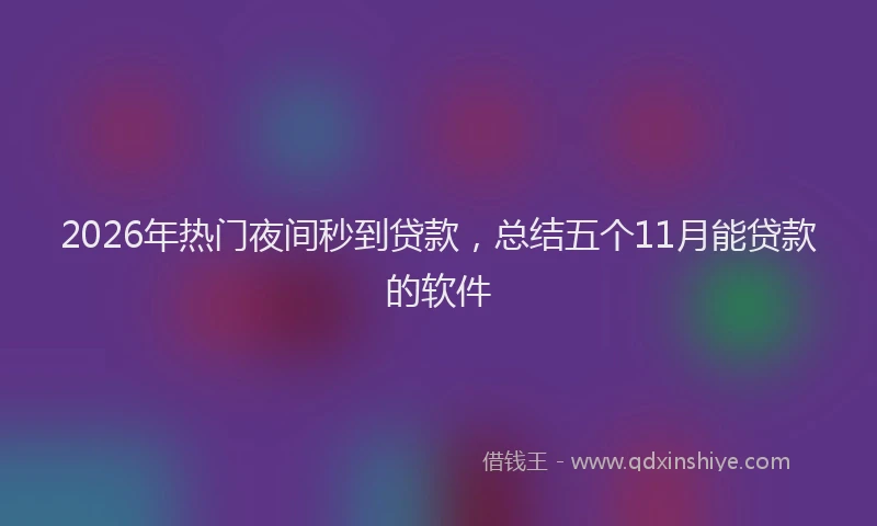 2026年热门夜间秒到贷款，总结五个11月能贷款的软件