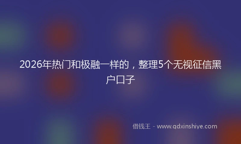 2026年热门和极融一样的，整理5个无视征信黑户口子