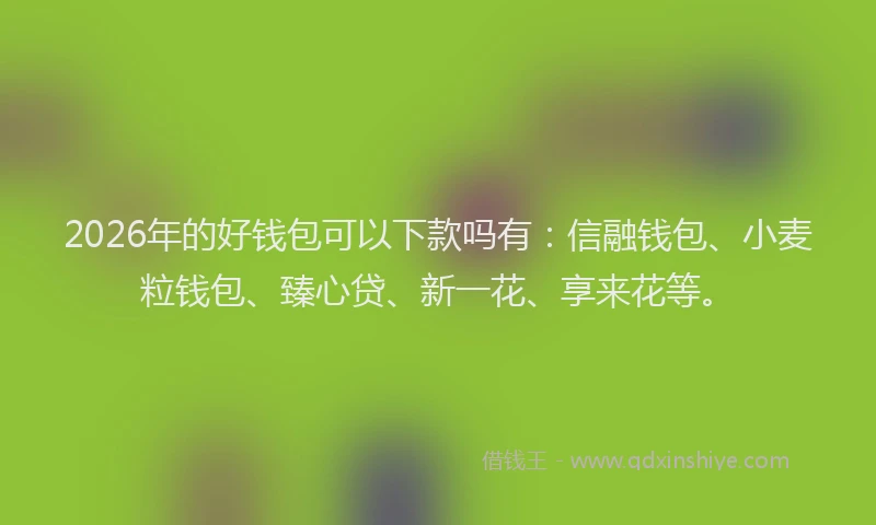 2026年的好钱包可以下款吗有：信融钱包、小麦粒钱包、臻心贷、新一花、享来花等。