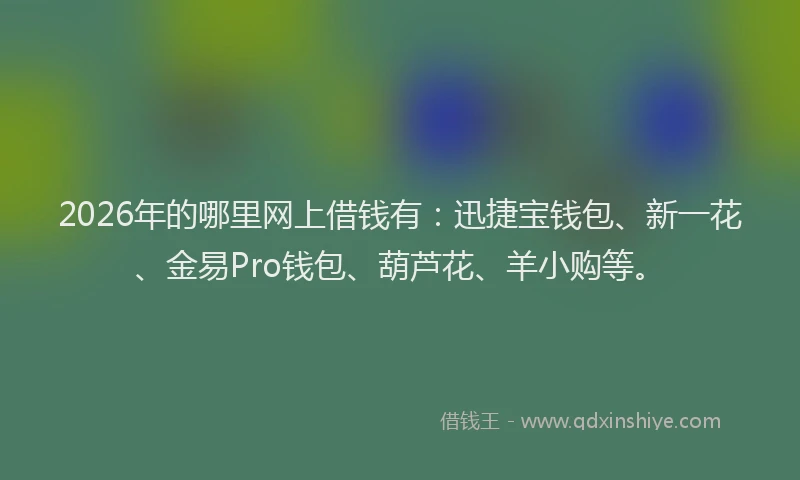 2026年的哪里网上借钱有：迅捷宝钱包、新一花、金易Pro钱包、葫芦花、羊小购等。