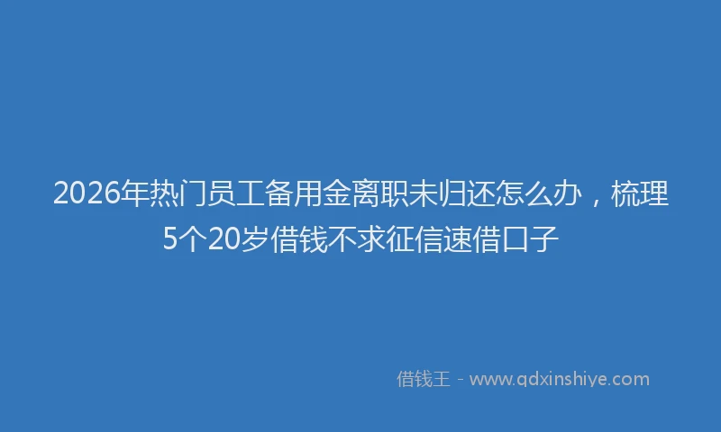 2026年热门员工备用金离职未归还怎么办，梳理5个20岁借钱不求征信速借口子