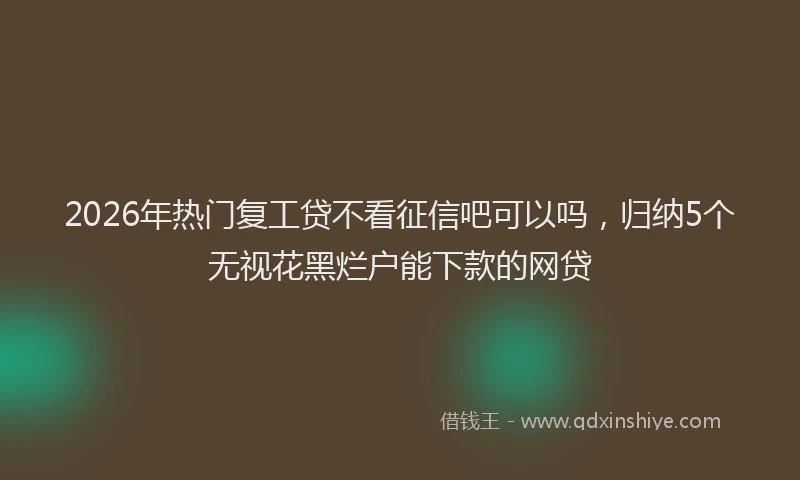 2026年热门复工贷不看征信吧可以吗，归纳5个无视花黑烂户能下款的网贷