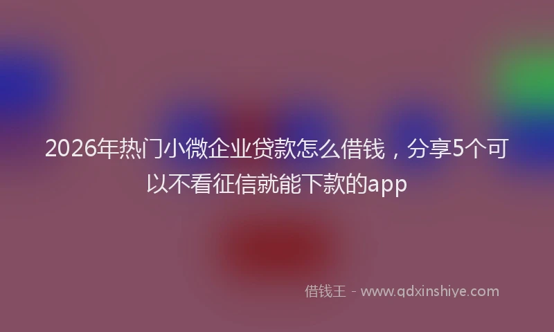 2026年热门小微企业贷款怎么借钱，分享5个可以不看征信就能下款的app