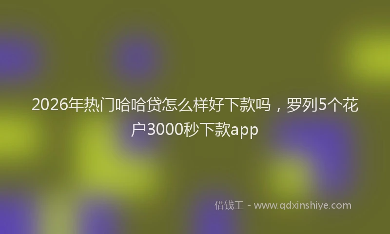 2026年热门哈哈贷怎么样好下款吗，罗列5个花户3000秒下款app