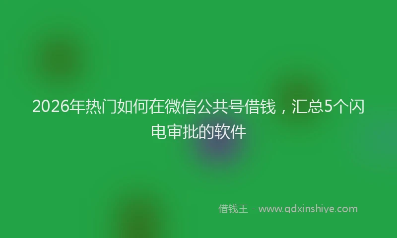2026年热门如何在微信公共号借钱，汇总5个闪电审批的软件