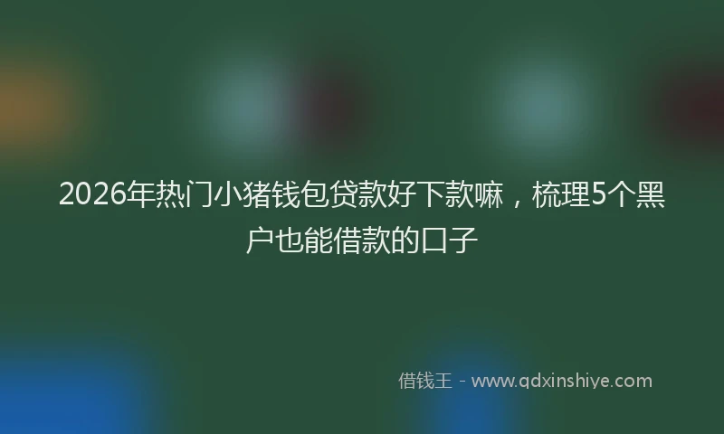 2026年热门小猪钱包贷款好下款嘛，梳理5个黑户也能借款的口子