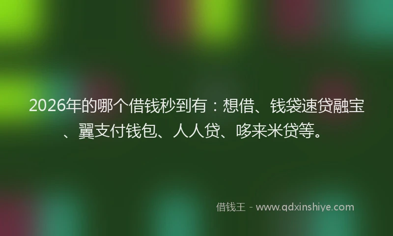 2026年的哪个借钱秒到有：想借、钱袋速贷融宝、翼支付钱包、人人贷、哆来米贷等。