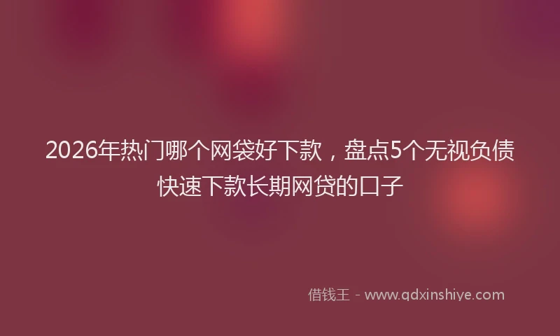 2026年热门哪个网袋好下款，盘点5个无视负债快速下款长期网贷的口子