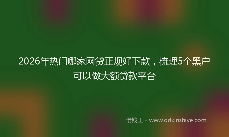 2026年热门哪家网贷正规好下款，梳理5个黑户可以做大额贷款平台