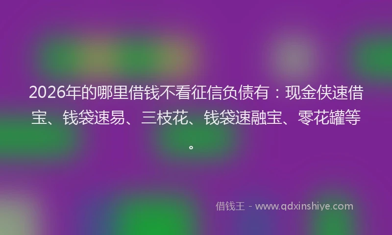 2026年的哪里借钱不看征信负债有：现金侠速借宝、钱袋速易、三枝花、钱袋速融宝、零花罐等。