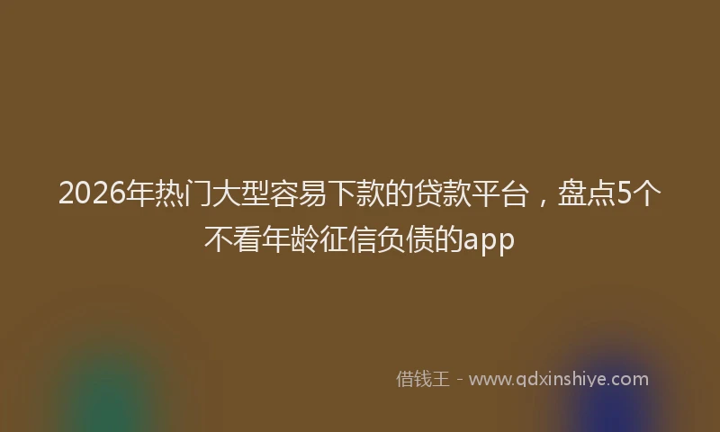 2026年热门大型容易下款的贷款平台，盘点5个不看年龄征信负债的app