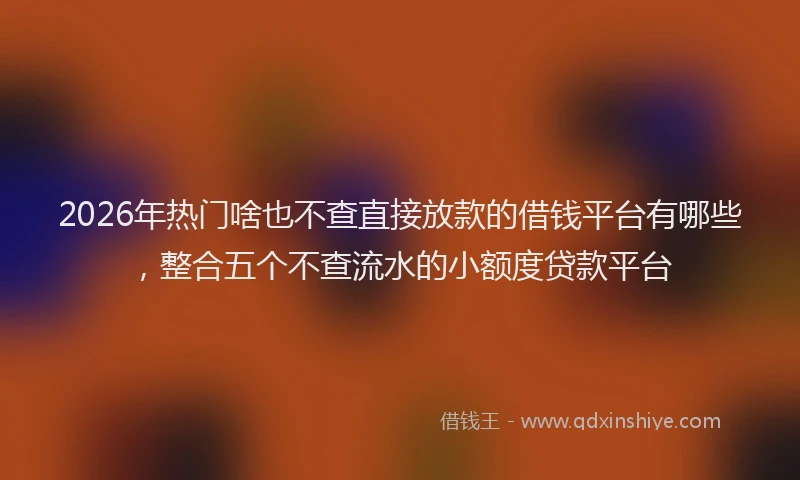 2026年热门啥也不查直接放款的借钱平台有哪些，整合五个不查流水的小额度贷款平台