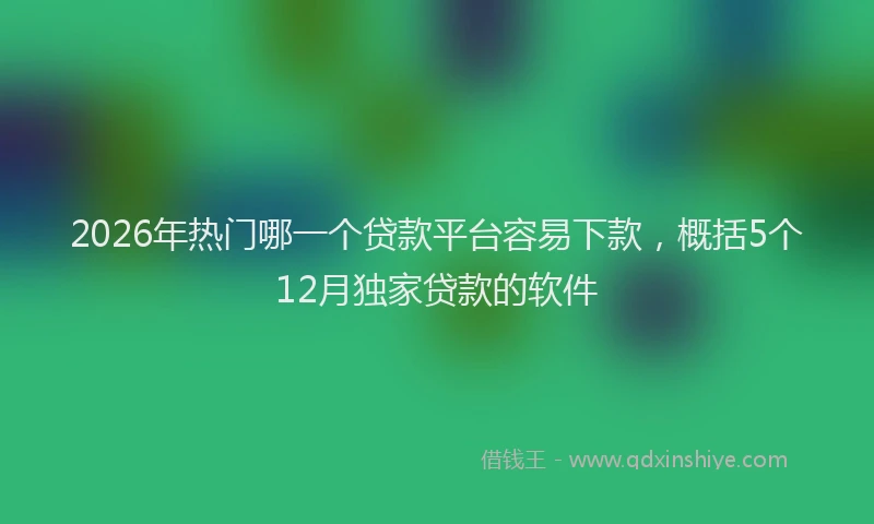 2026年热门哪一个贷款平台容易下款，概括5个12月独家贷款的软件