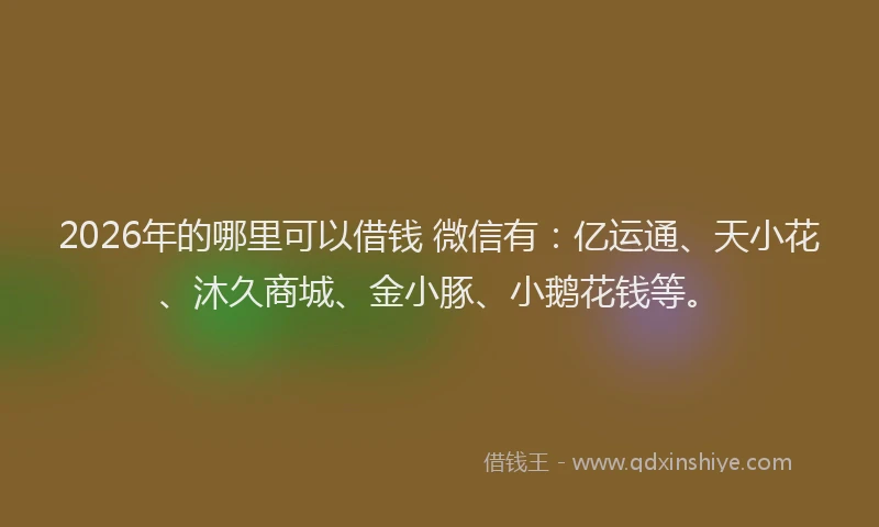 2026年的哪里可以借钱 微信有：亿运通、天小花、沐久商城、金小豚、小鹅花钱等。