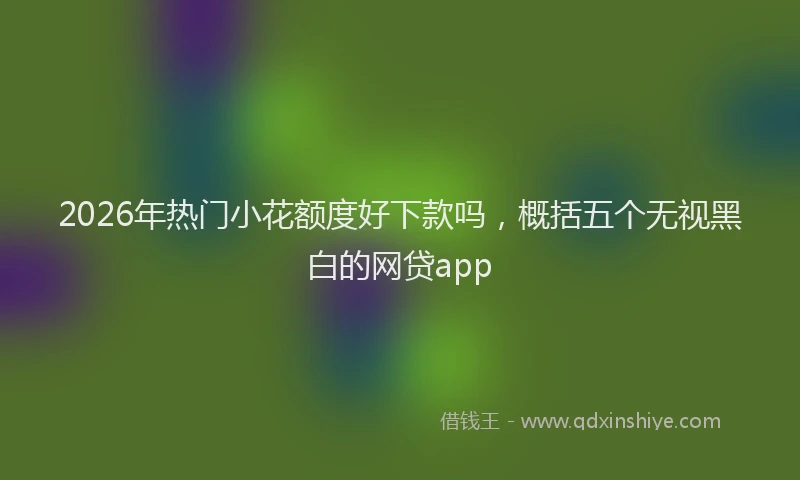 2026年热门小花额度好下款吗，概括五个无视黑白的网贷app