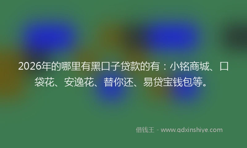 2026年的哪里有黑口子贷款的有：小铭商城、口袋花、安逸花、替你还、易贷宝钱包等。