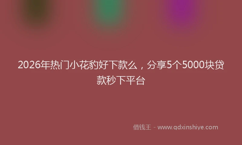 2026年热门小花豹好下款么,分享5个5000块贷款秒下平台