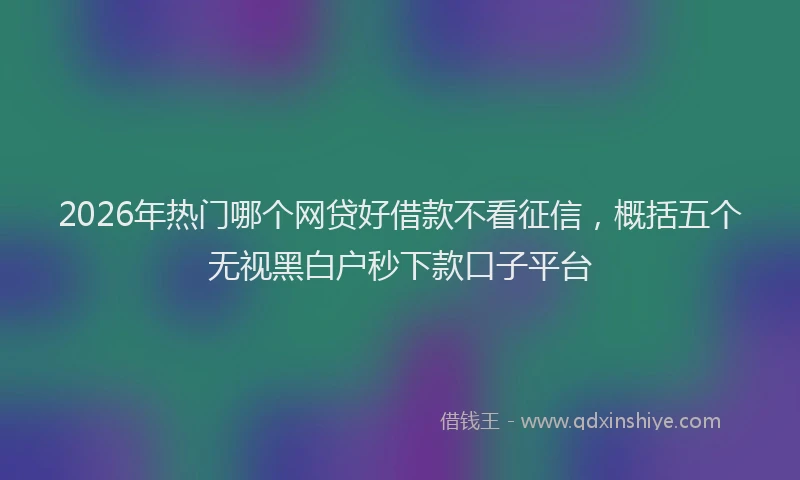2026年热门哪个网贷好借款不看征信，概括五个无视黑白户秒下款口子平台