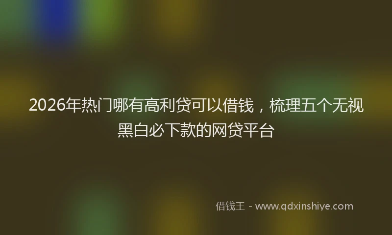 2026年热门哪有高利贷可以借钱，梳理五个无视黑白必下款的网贷平台