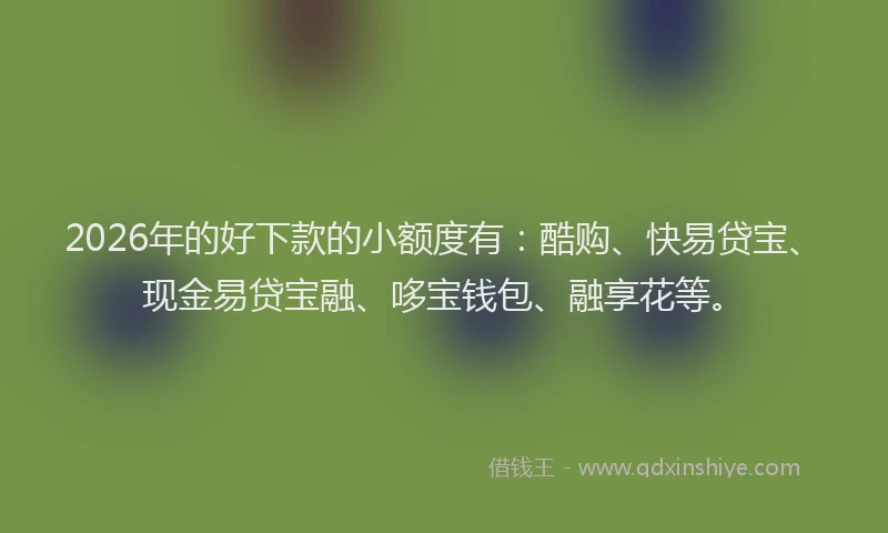 2026年的好下款的小额度有：酷购、快易贷宝、现金易贷宝融、哆宝钱包、融享花等。