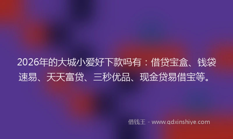 2026年的大城小爱好下款吗有：借贷宝盒、钱袋速易、天天富贷、三秒优品、现金贷易借宝等。