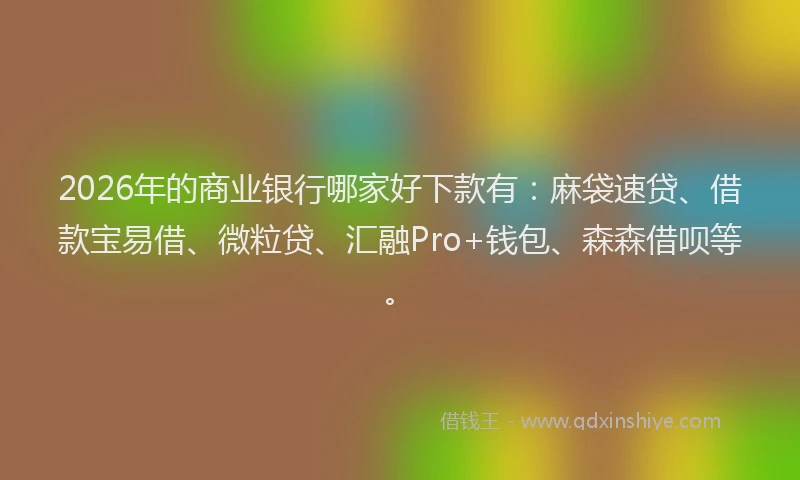 2026年的商业银行哪家好下款有：麻袋速贷、借款宝易借、微粒贷、汇融Pro+钱包、森森借呗等。
