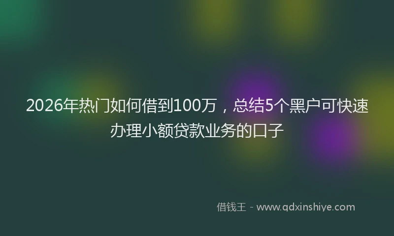 2026年热门如何借到100万，总结5个黑户可快速办理小额贷款业务的口子