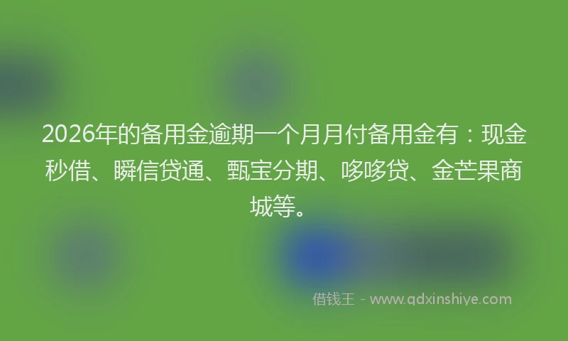 2026年的备用金逾期一个月月付备用金有：现金秒借、瞬信贷通、甄宝分期、哆哆贷、金芒果商城等。