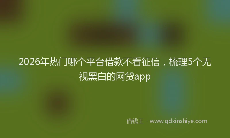 2026年热门哪个平台借款不看征信，梳理5个无视黑白的网贷app